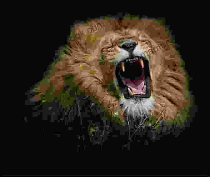 A Majestic Lion Roaring Perfectly Poetic: Zoo Animal Haikus