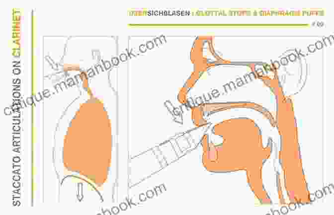 Diagram Illustrating Clarinet Articulation Techniques Boox: Clarinet: Level 2 Tutorial