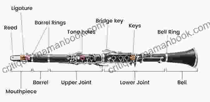 Diagram Of The Clarinet's Anatomy Boox: Clarinet: Level 2 Tutorial