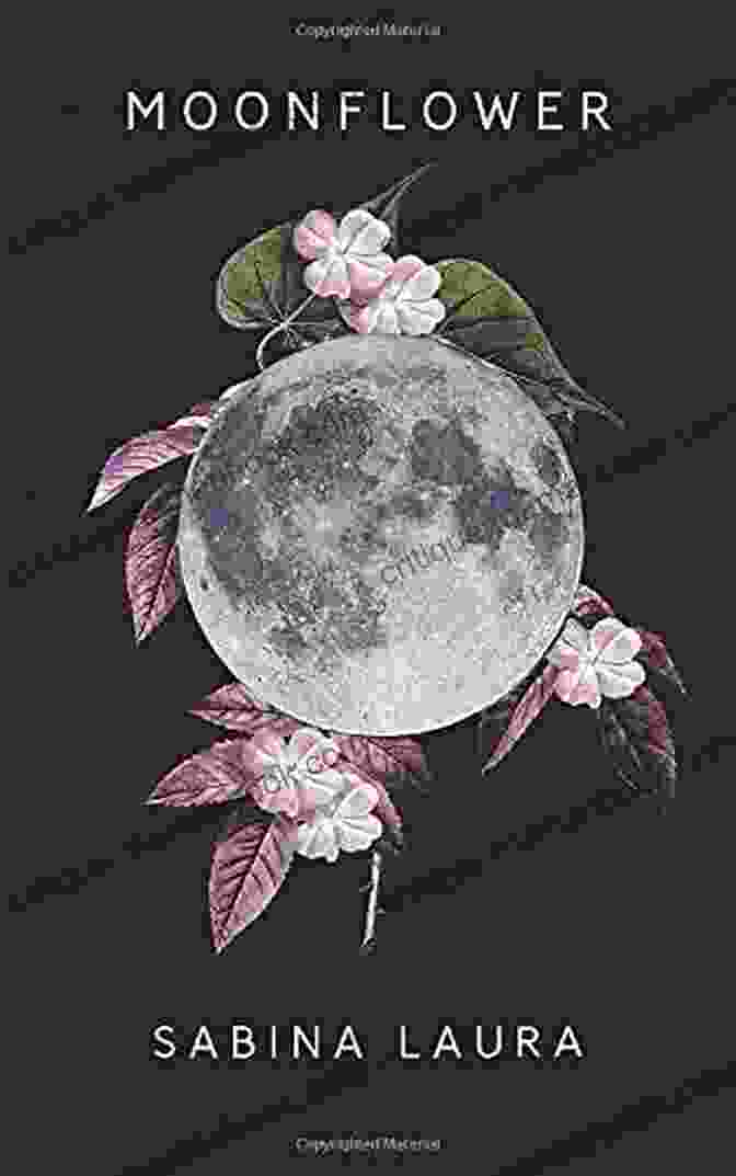Moonflower Sabina Laura Vine With White Flowers Against A Dark Background Moonflower Sabina Laura
