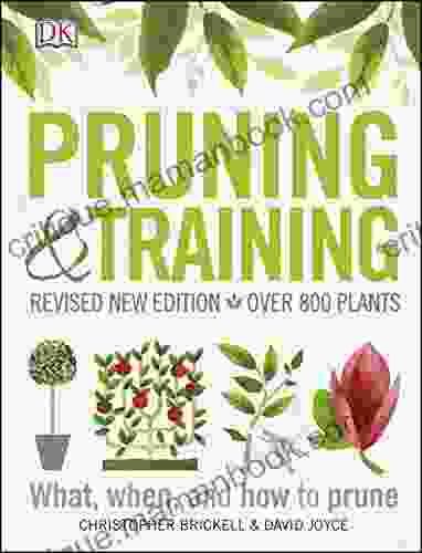 Pruning And Training DK