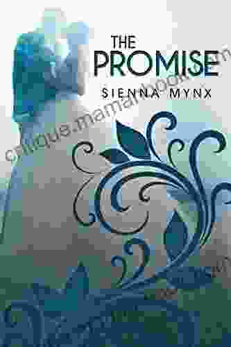 The Promise: A Bittersweet Romance